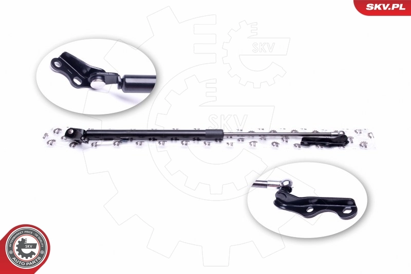 Gas Spring, boot/cargo area